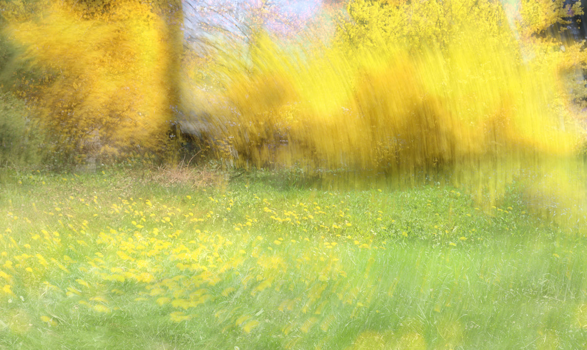 Golden Meadow Abstract Art - Vibrant Nature Landscape Print Wall Mural in your room — zoomed