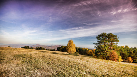 Autumn Meadow Landscape Print - Serene Nature Photography Wall Mural