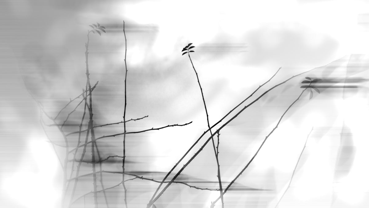 Ethereal Monochrome Art Print of Delicate Branches Wall Mural in your room