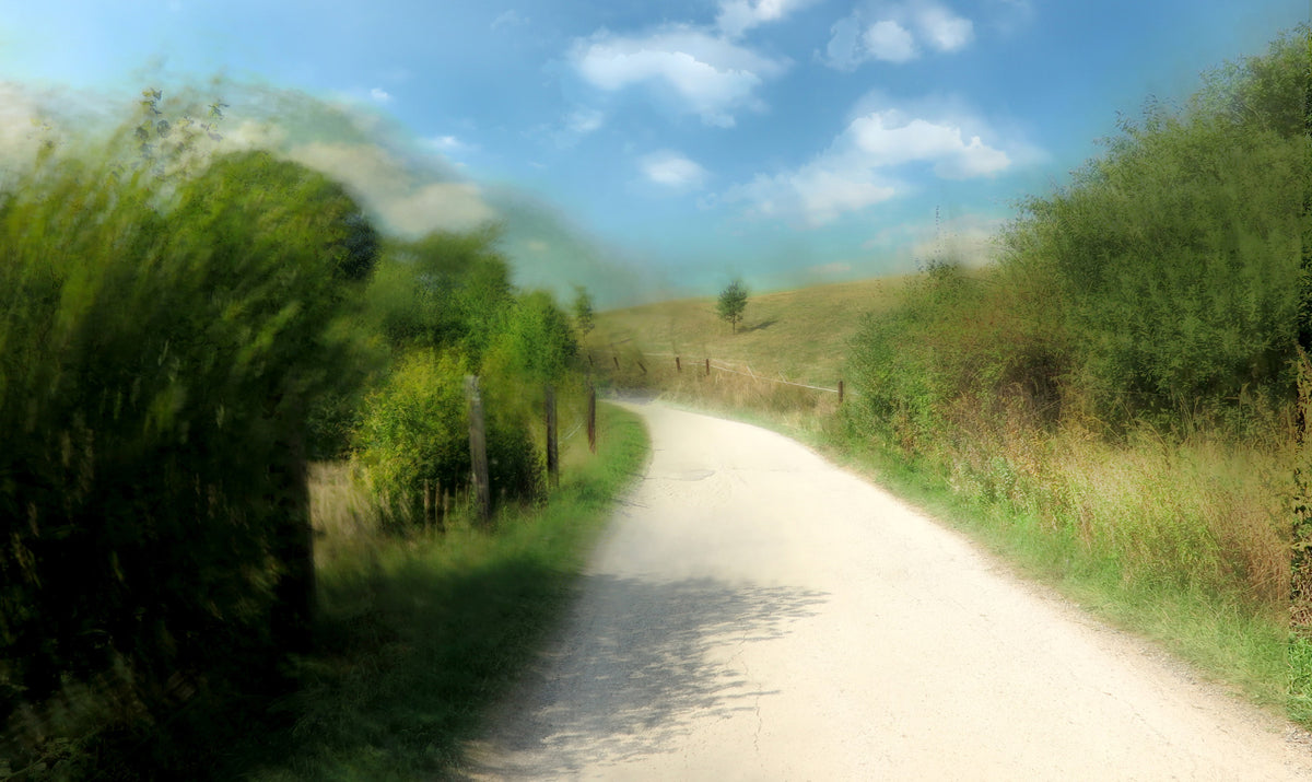 Serene Country Pathway Art Print | Tranquil Landscape Photography Wall Mural in your room — zoomed