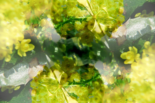 Lush Green and Yellow Floral Abstract Art Print Wall Mural