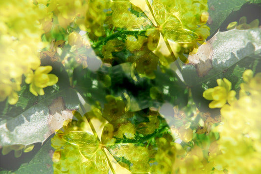 Lush Green and Yellow Floral Abstract Art Print Wall Mural