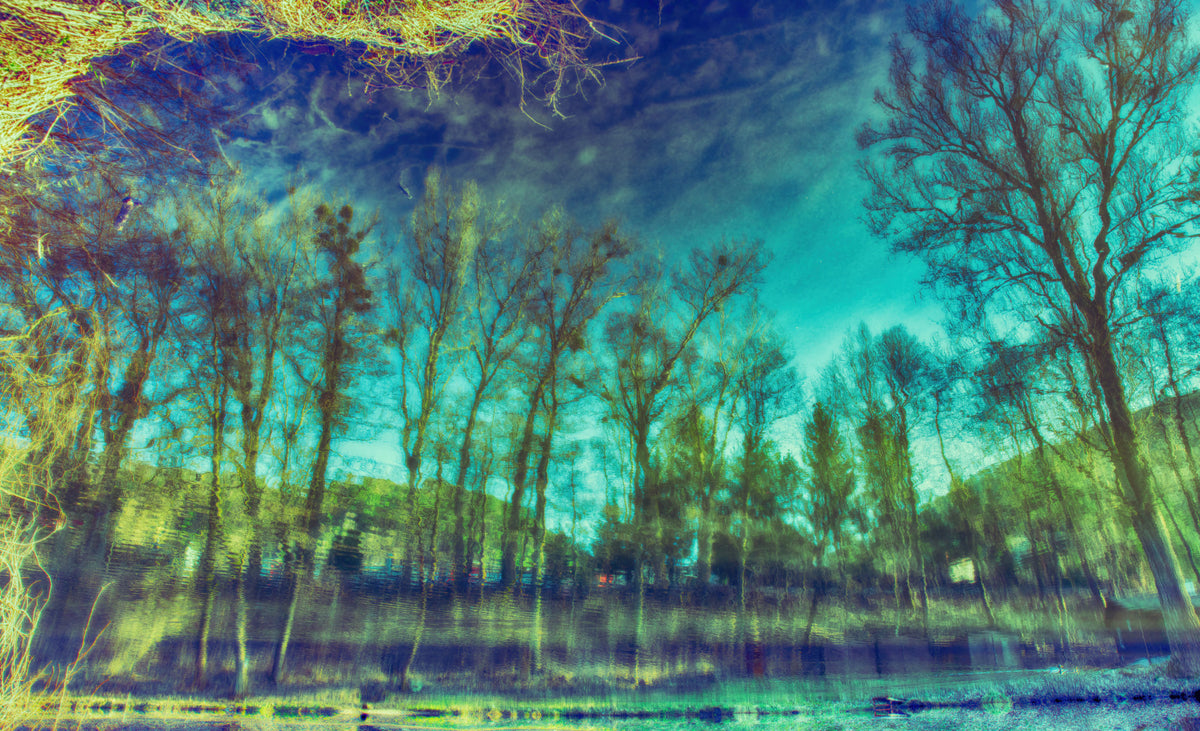 Serene Reflections of Trees in Water - Abstract Nature Art Print Wall Mural in your room