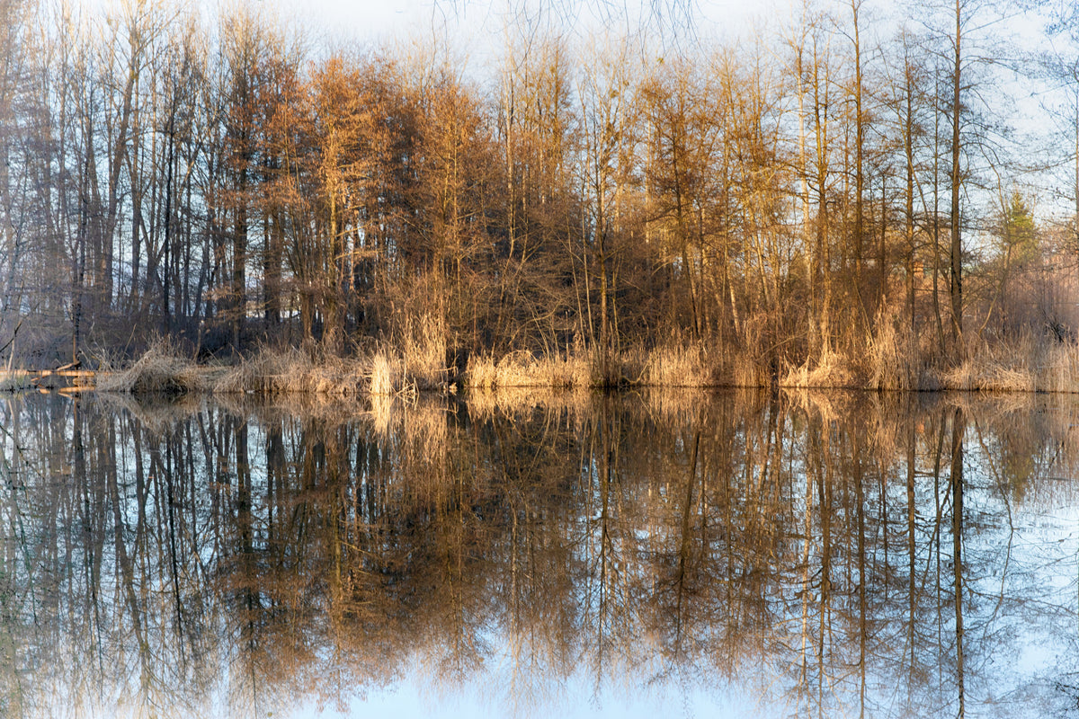 Tranquil Reflection of Autumn Trees on Water | Serene Nature Photography Wall Mural in your room — zoomed