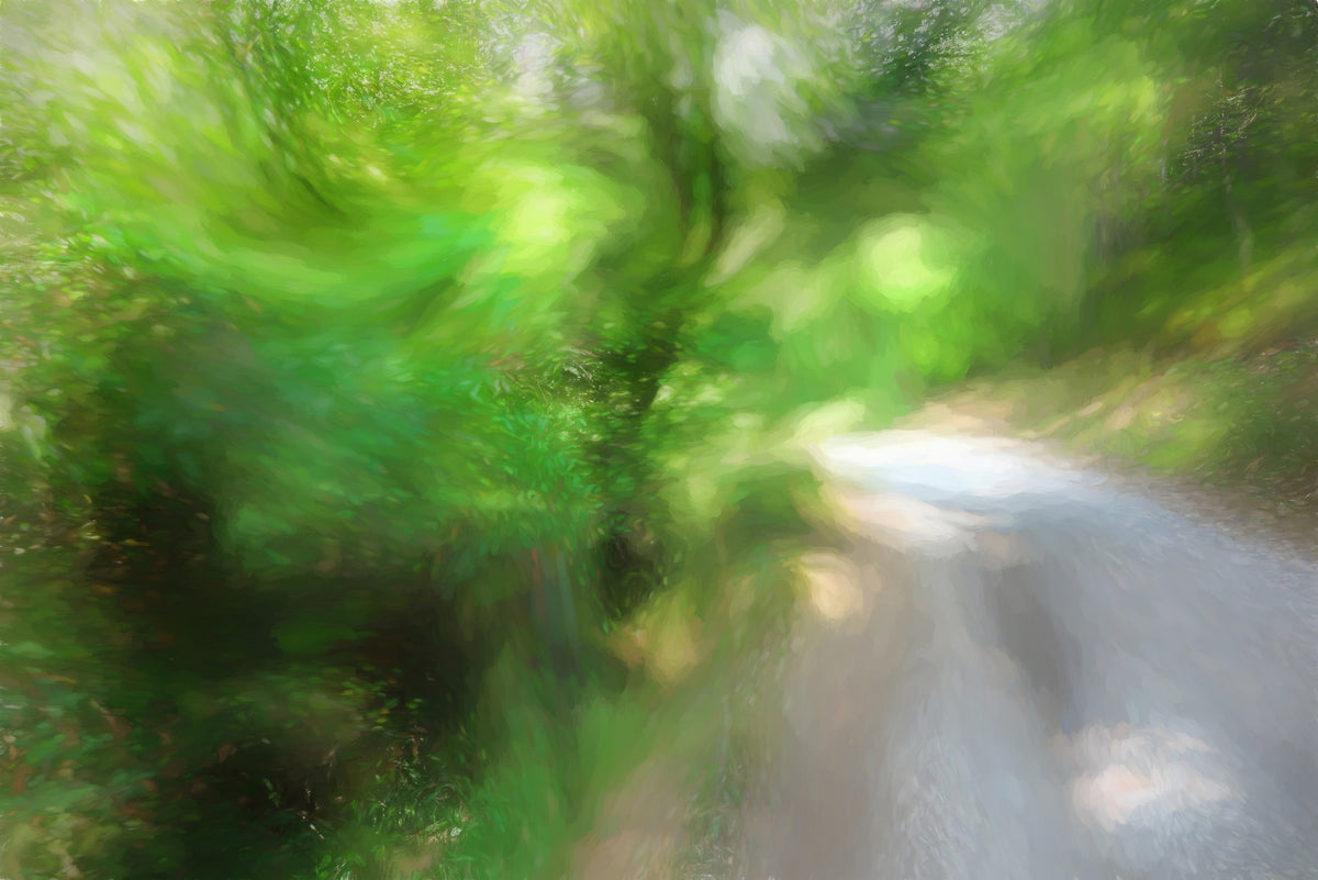 Lush Green Pathway Art Print | Serene Nature Photography | Blurred Light Effect Wall Mural in your room — zoomed