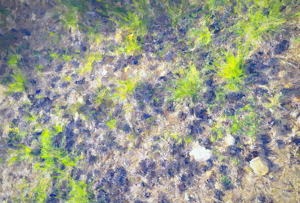 Organic Textures in Nature: Green Grass and Earth Tapestry Wall Mural in your room — zoomed