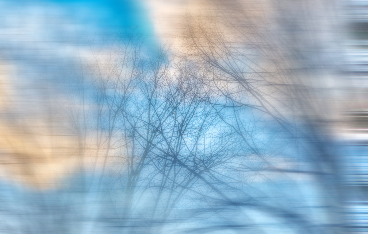 Ethereal Sky Abstract Art Print - Soft Blurred Branches in Tranquil Blue Wall Mural in your room — zoomed