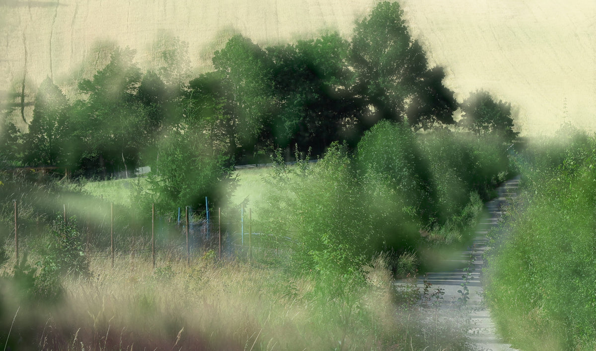 Tranquil Pathway Through Lush Greenery - Nature Photography Wall Mural in your room