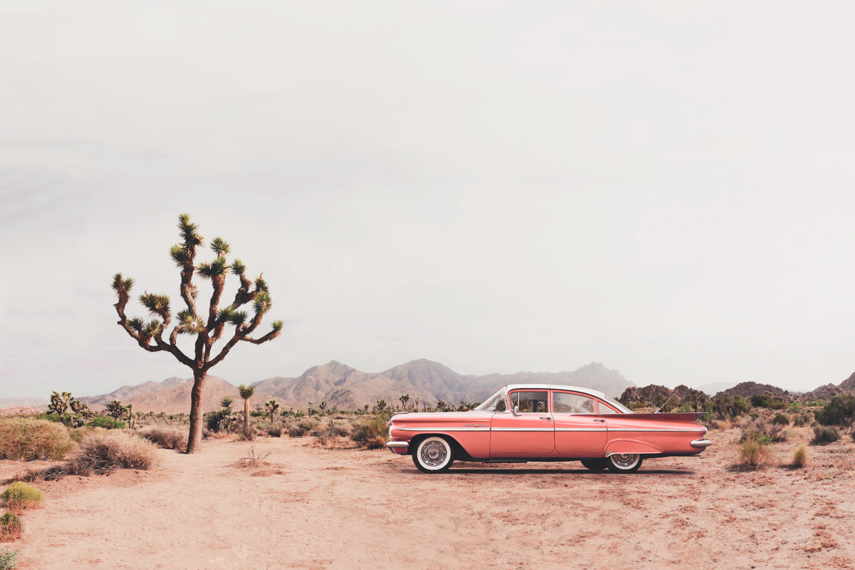 In the desert Wall Mural in your room