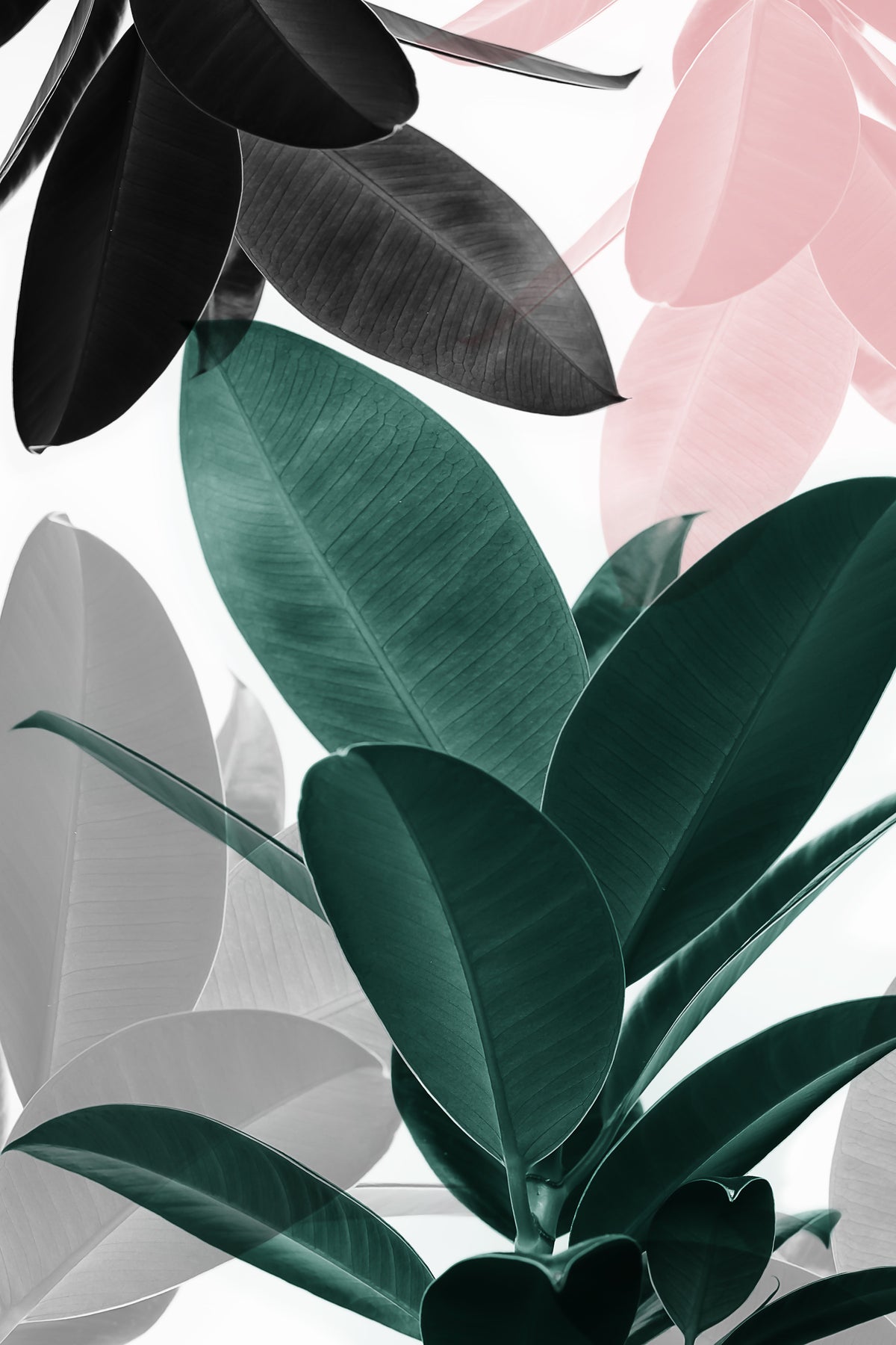 Leaf Play Wall Mural in your room
