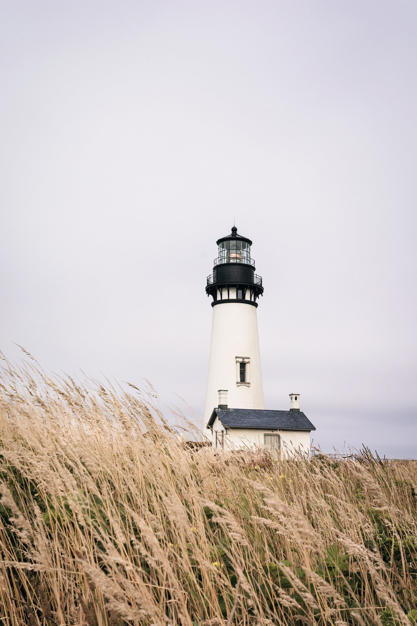 Lighthouse Vista Wall Mural in your room