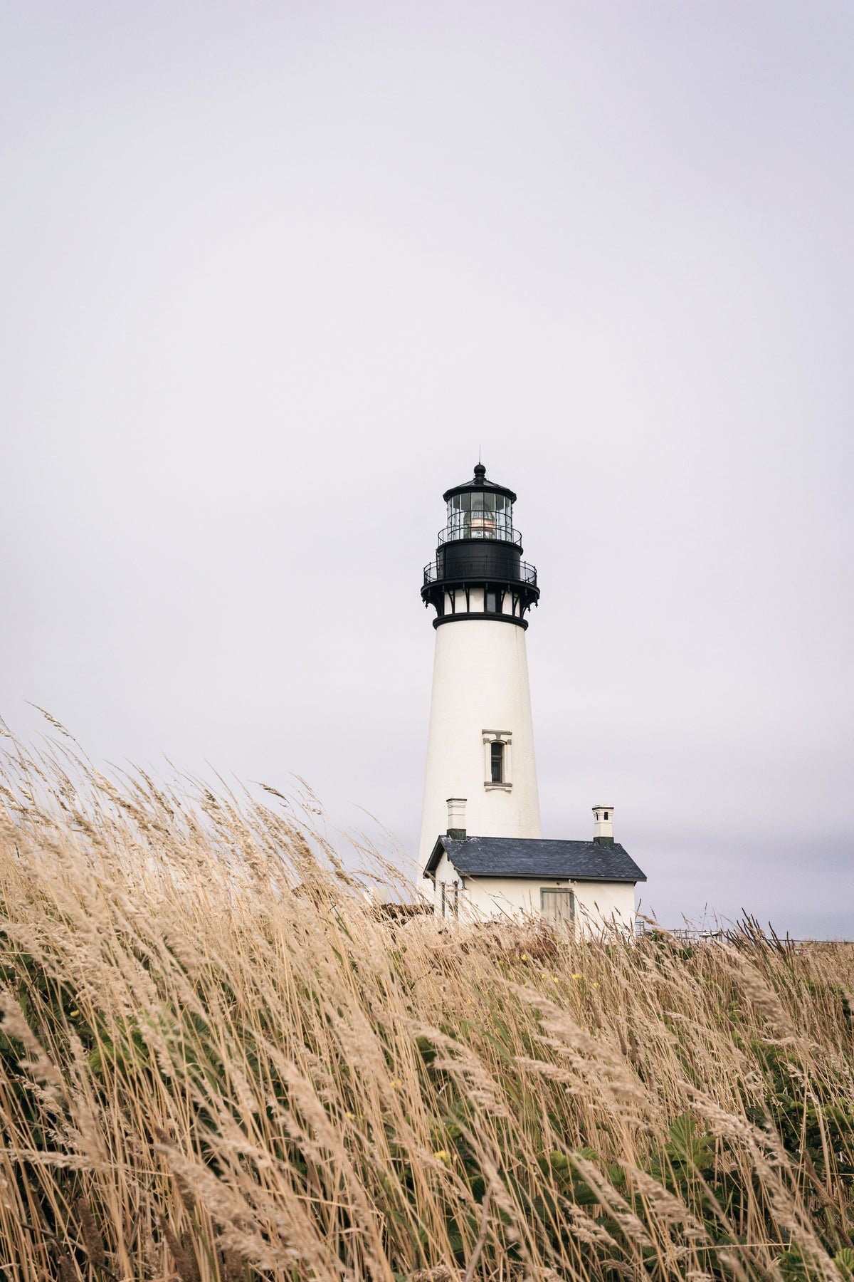 Lighthouse Vista Wall Mural in your room — zoomed