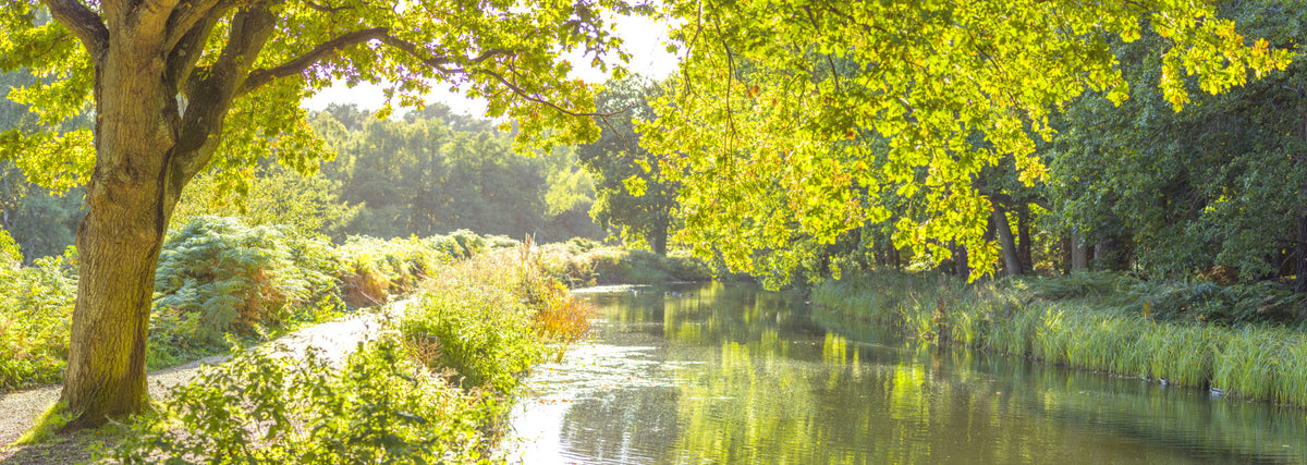 Canal Serenity Wall Mural in your room