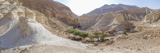 Negev Desert Wall Mural