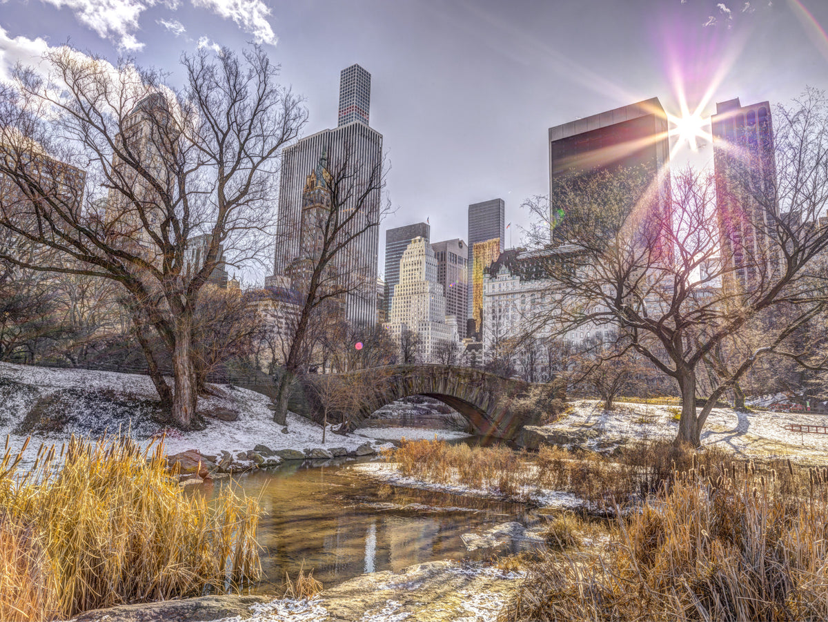 Central park NYC Wall Mural in your room