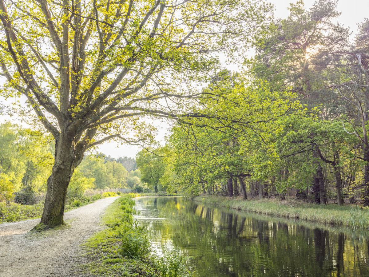 Canal on a Spring Day Wall Mural in your room — zoomed