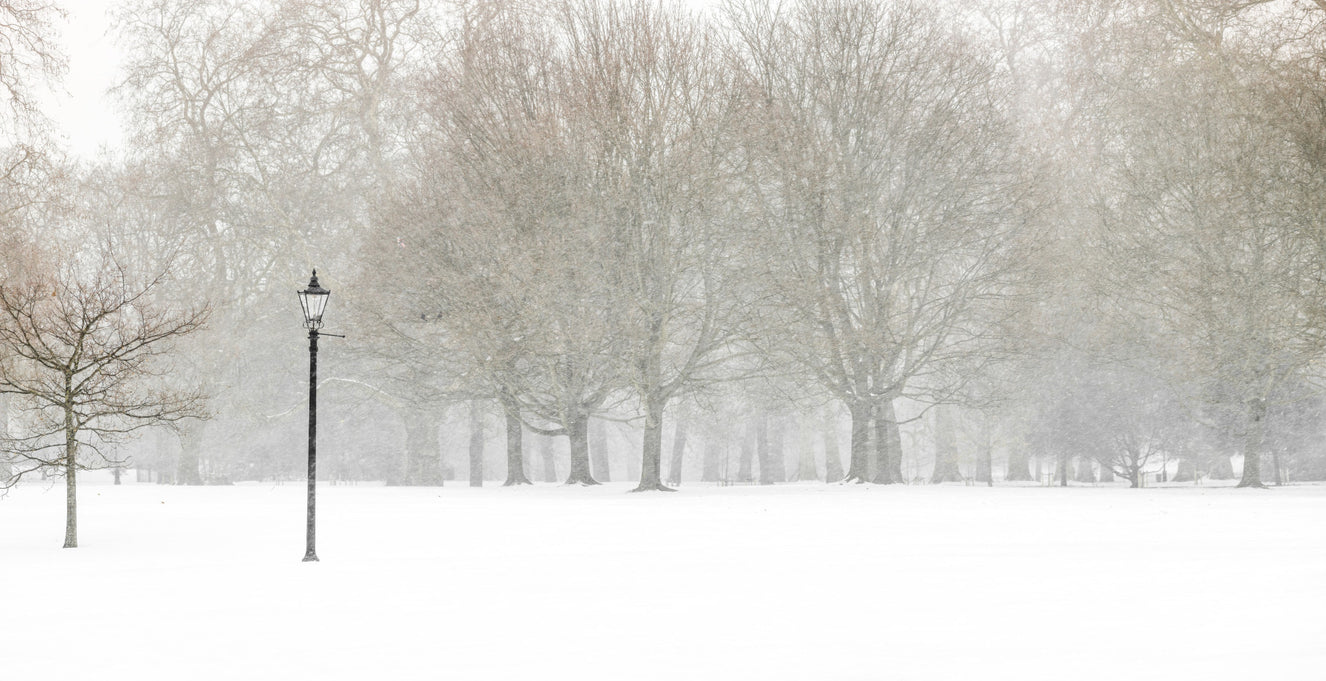 Hyde Park in Winter Wall Mural