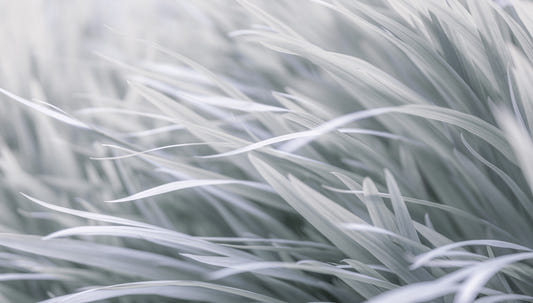 Gray wavy Grass Wall Mural