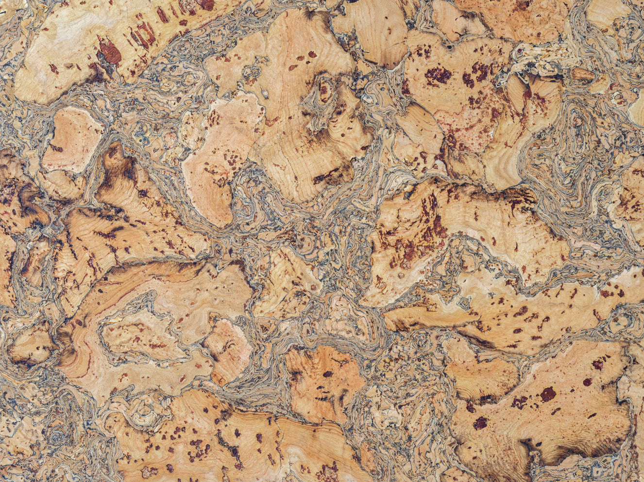 Earthy Cork Surface Design Wall Mural