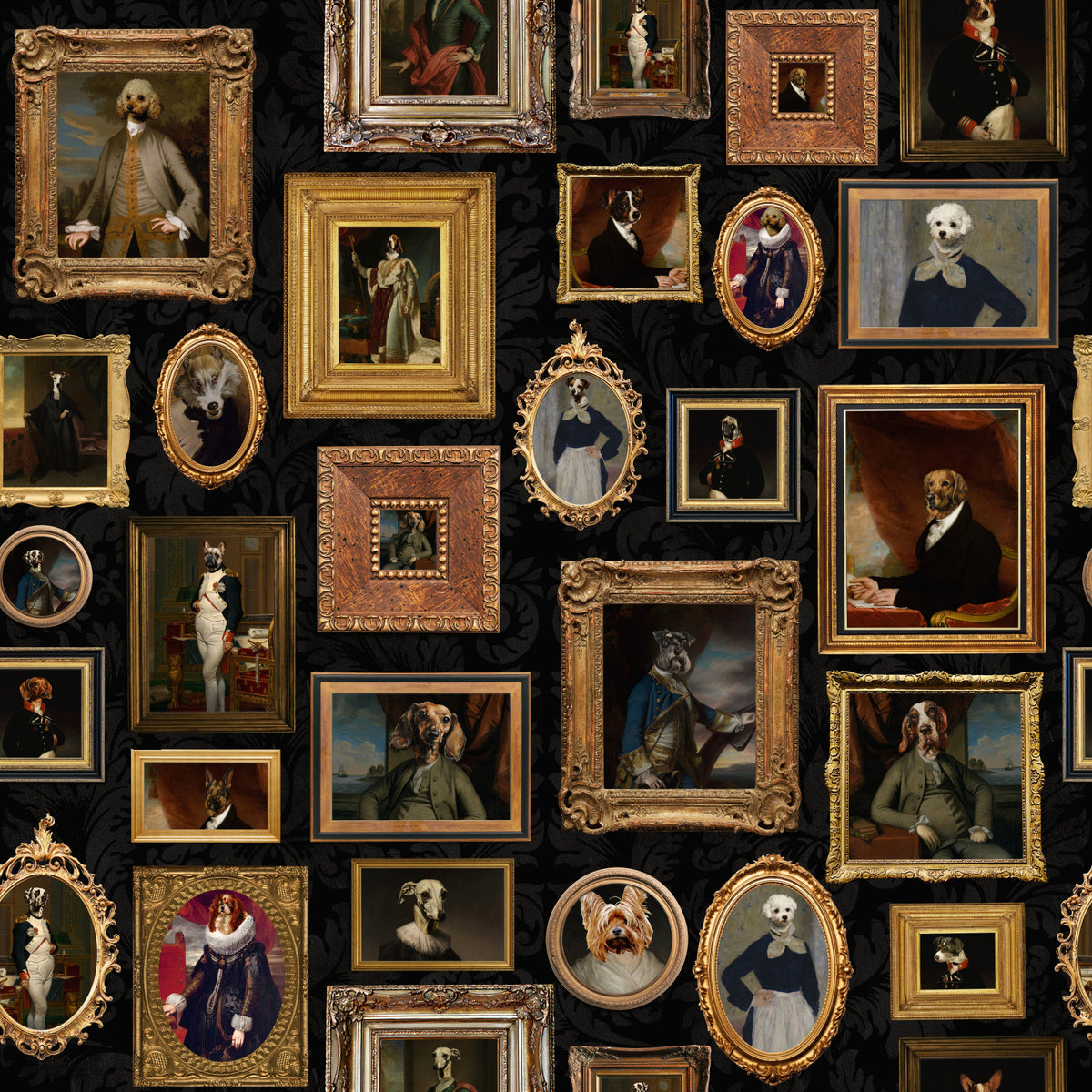 Aristodogs Gallery  Wallpaper⁠ in your room — zoomed