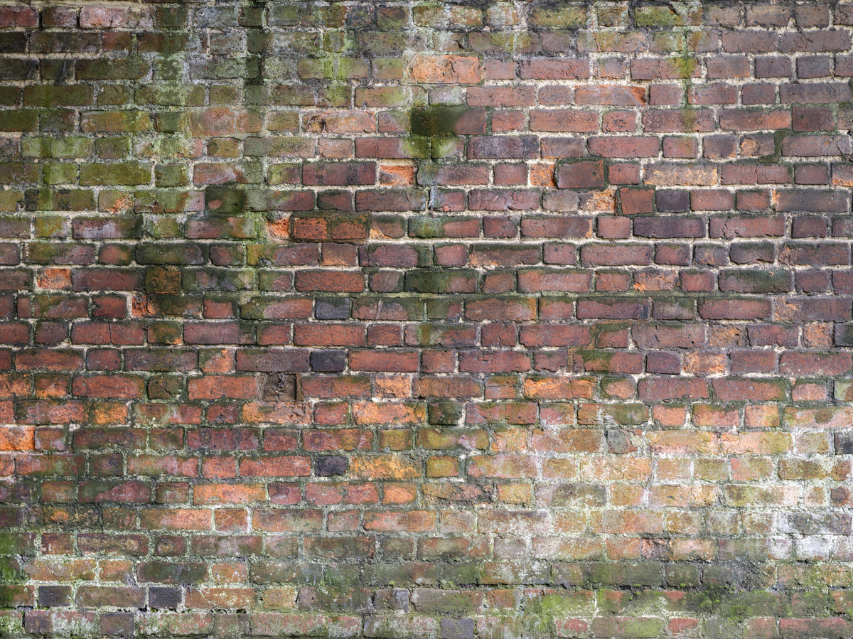 Weathered Wall Wall Mural in your room