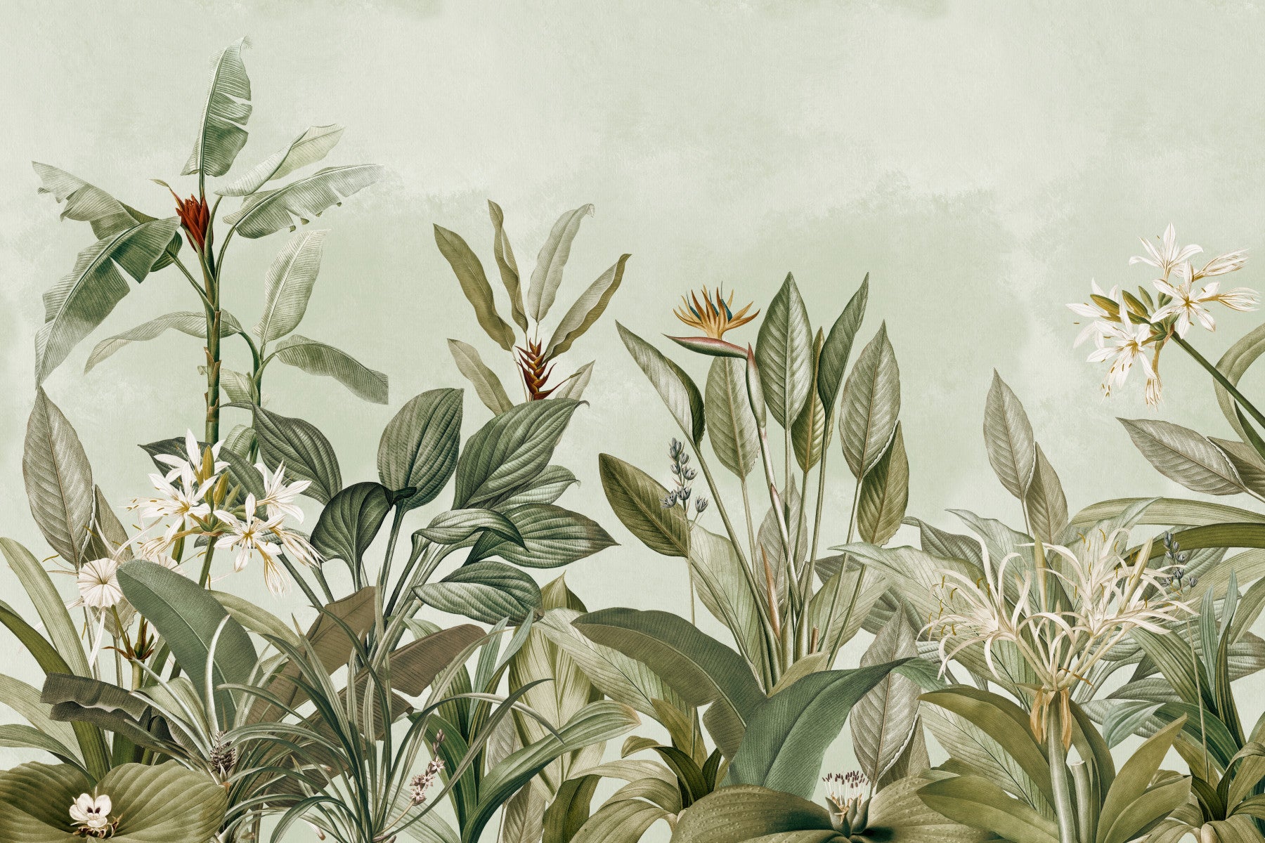 Botanical Serenity Wall Mural