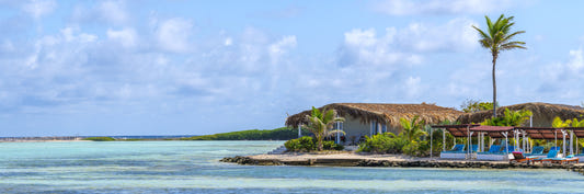 Bonaire Coast Wall Mural