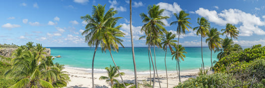 Slice of Paradise Wall Mural
