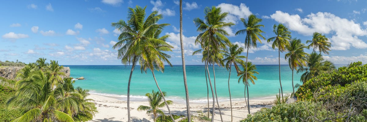 Slice of Paradise Wall Mural in your room — zoomed