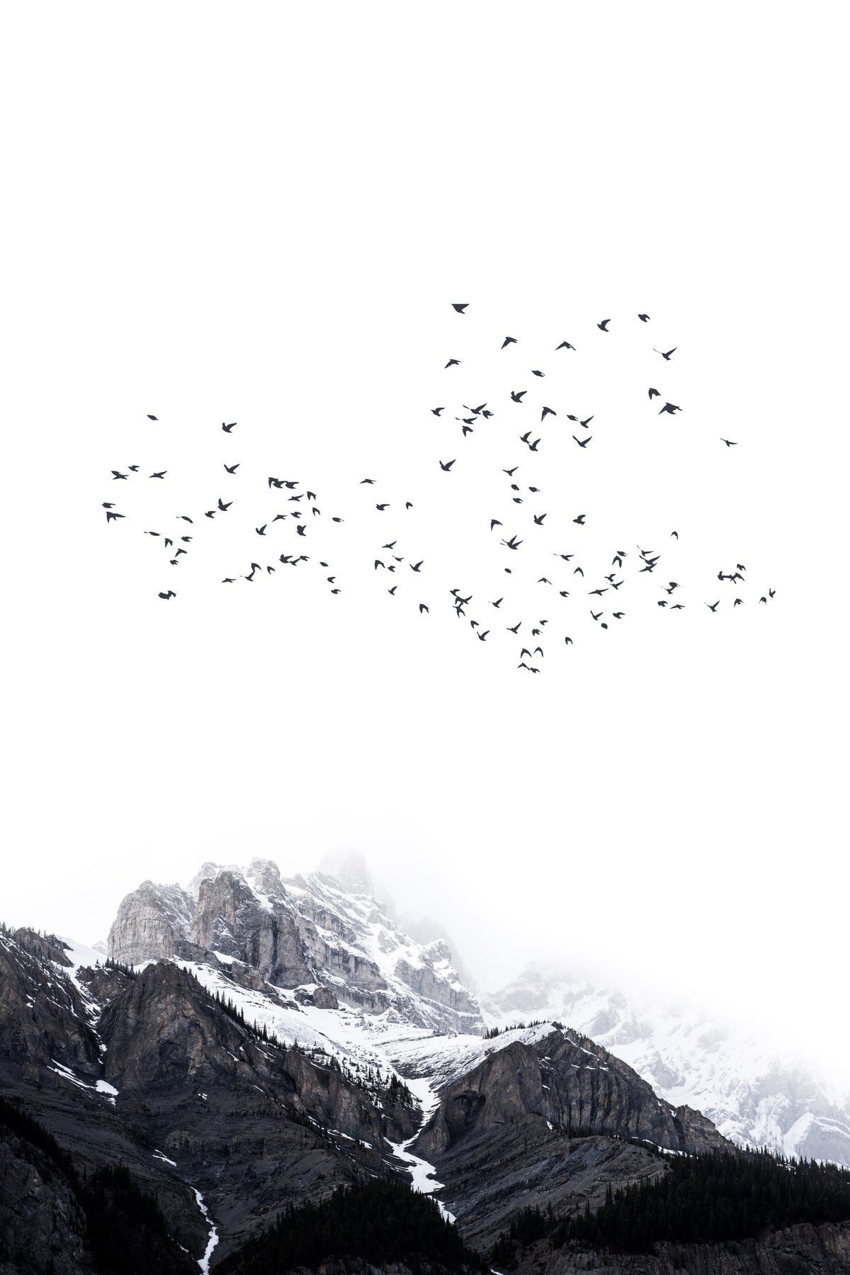 The Mountains Wall Mural in your room