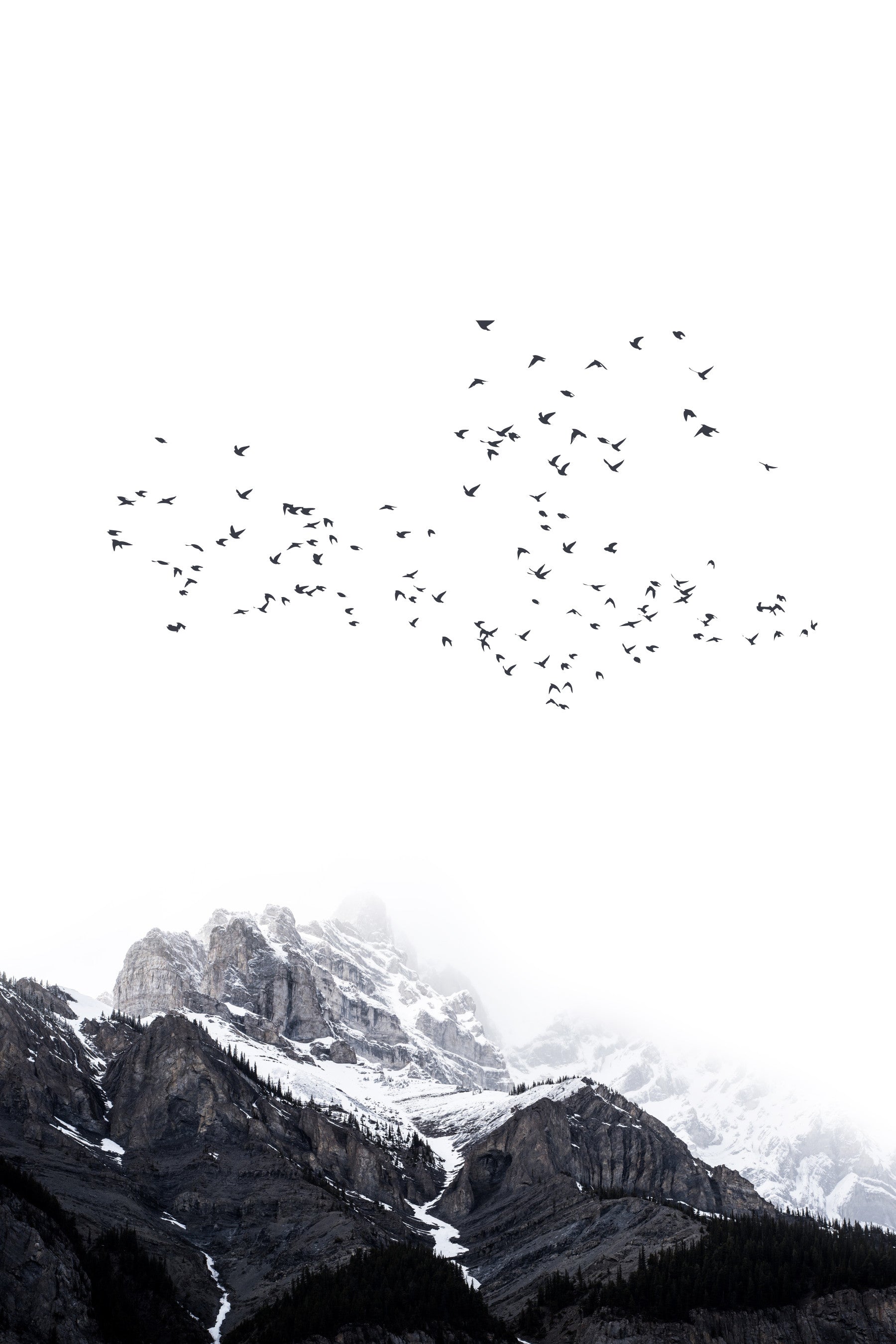 The Mountains Wall Mural