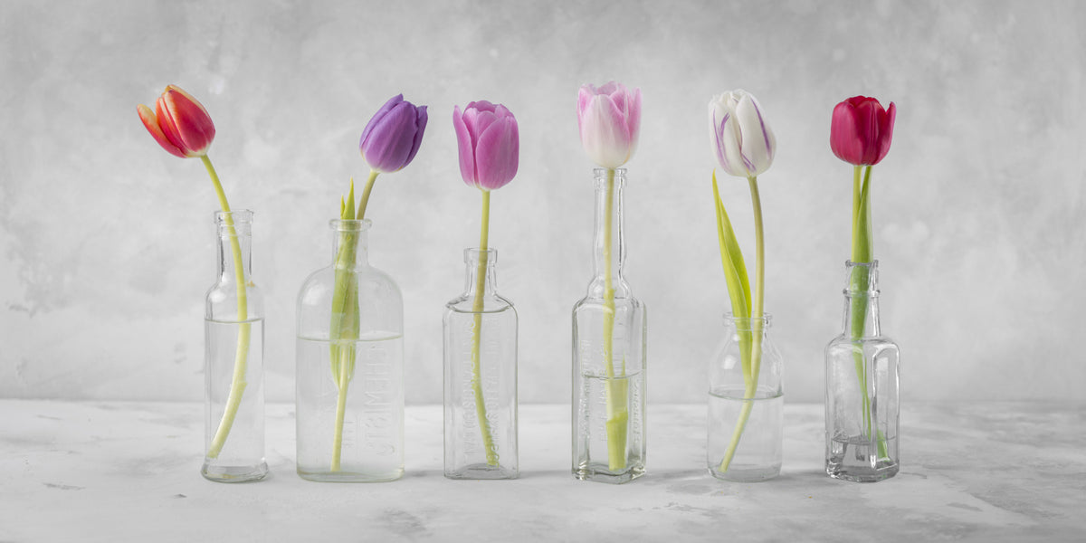 Bottled Blooms Wall Mural in your room — zoomed