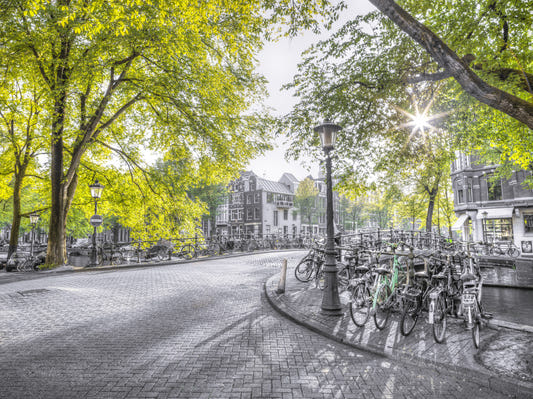 Street of Amsterdam Wall Mural