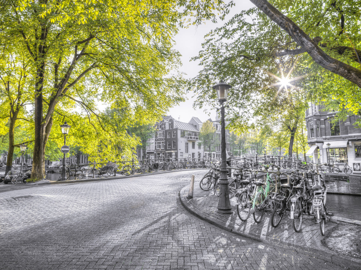 Street of Amsterdam Wall Mural in your room — zoomed