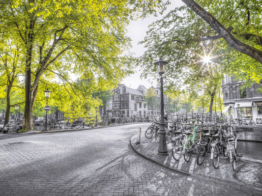 Street of Amsterdam Wall Mural