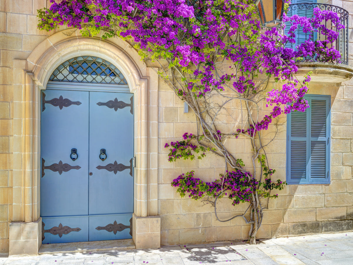 Bougainvillea Door Wall Mural in your room — zoomed