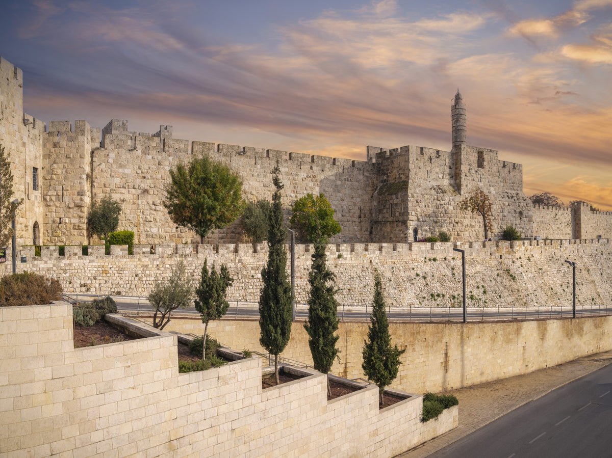 Tower of David Wall Mural in your room — zoomed