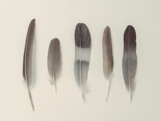 Subtle Harmony Wall Mural