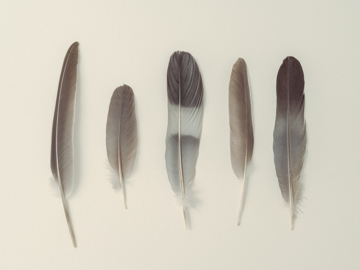 Subtle Harmony Wall Mural in your room — zoomed