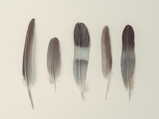 Subtle Harmony Wall Mural