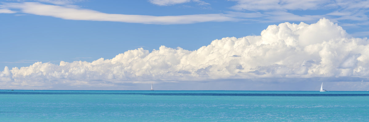 Seascape Elegance Wall Mural in your room — zoomed