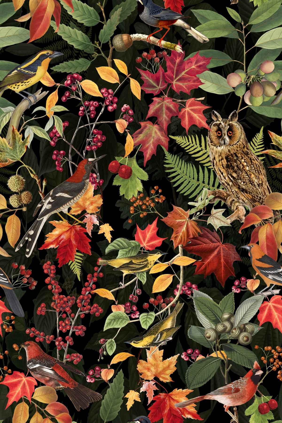 Autumn Owl Woodland Impression Black Wallpaper⁠ in your room — zoomed