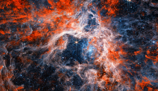 Tarantula Nebula Wall Mural