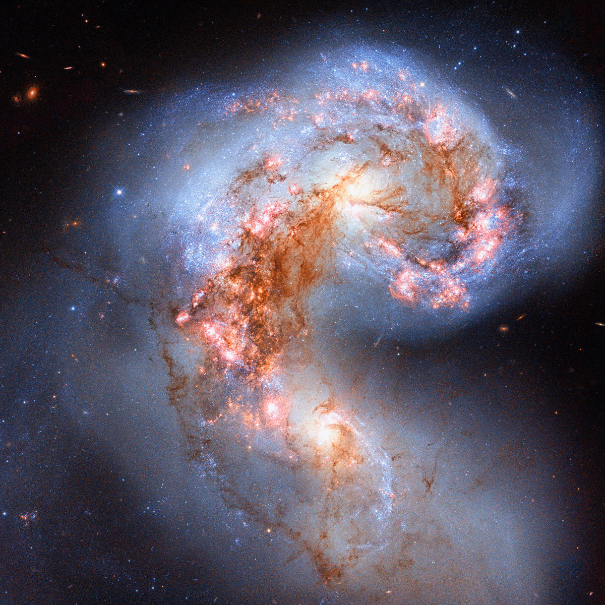 Galactic Dance Wall Mural in your room — zoomed