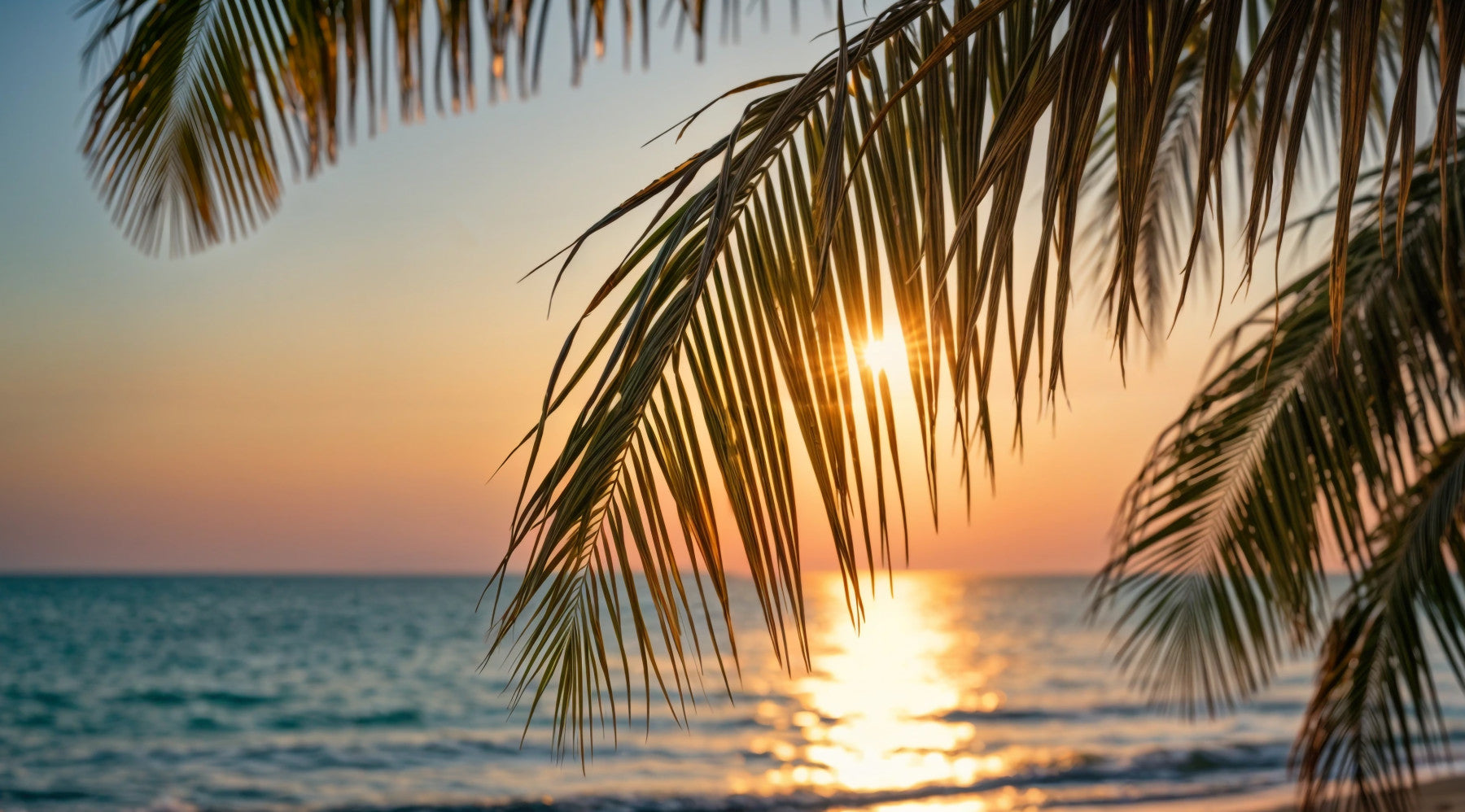 Tropical Glow Wall Mural in your room — zoomed