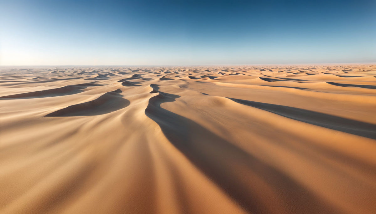 Desert Whispers Wall Mural in your room