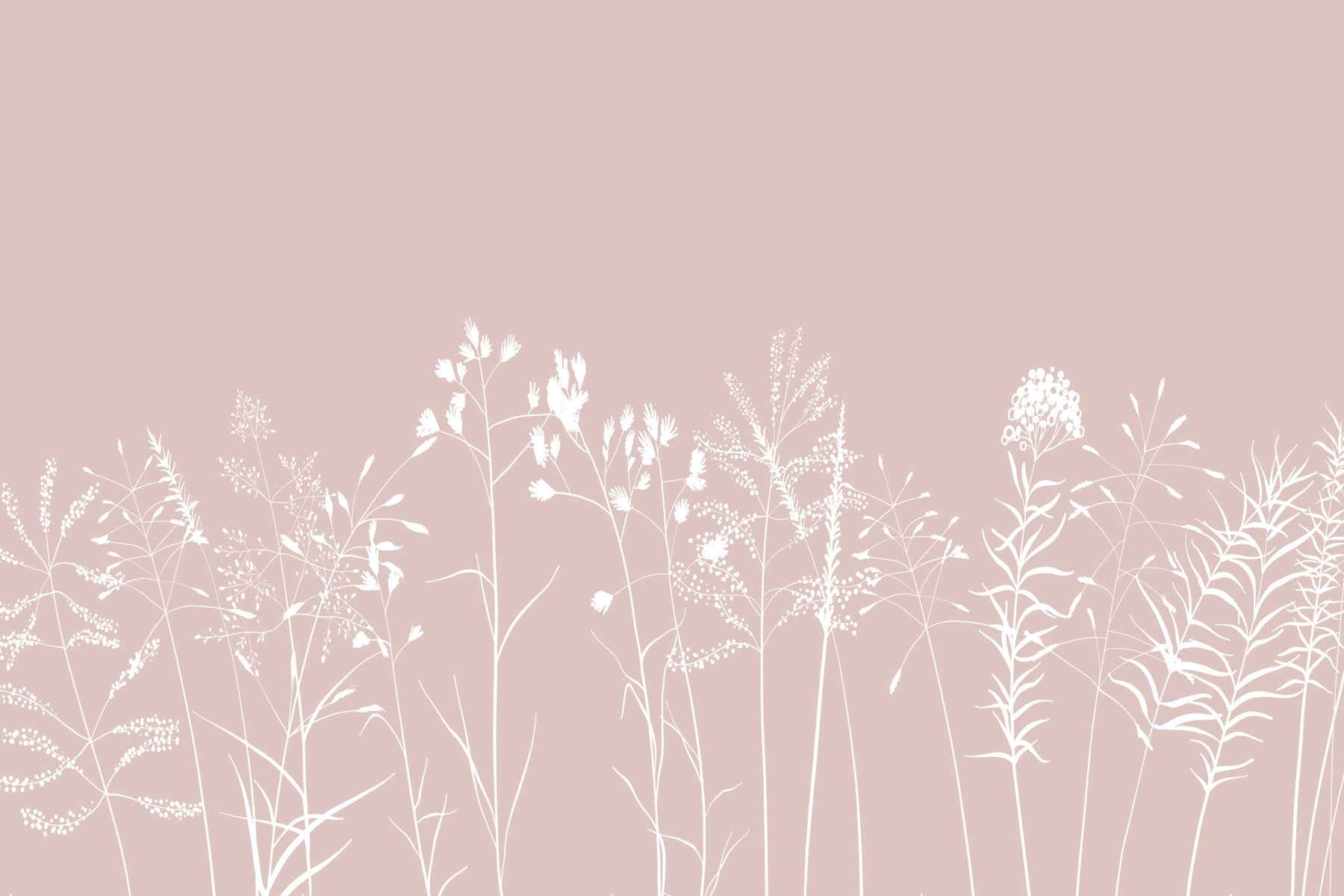 Blush Botanicals Wall Mural