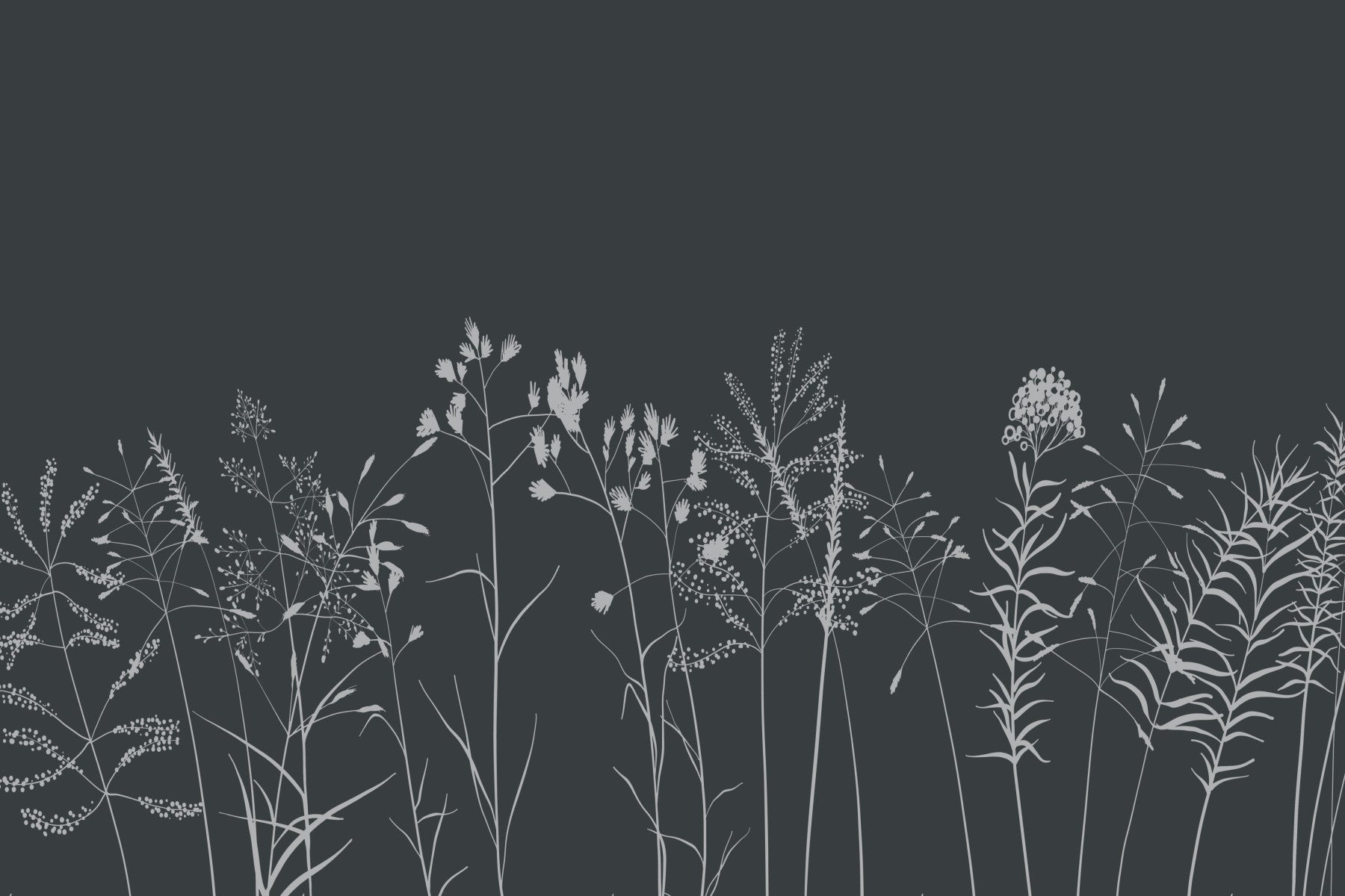 Charcoal Flora Wall Mural