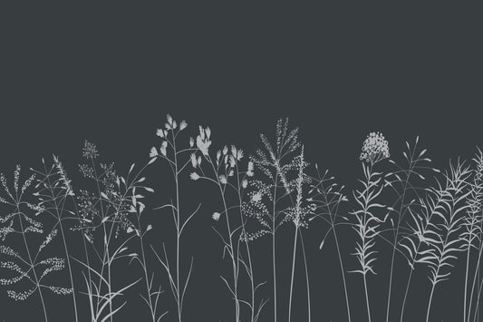 Charcoal Flora Wall Mural