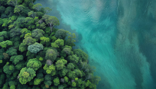 Emerald Canopy Wall Mural